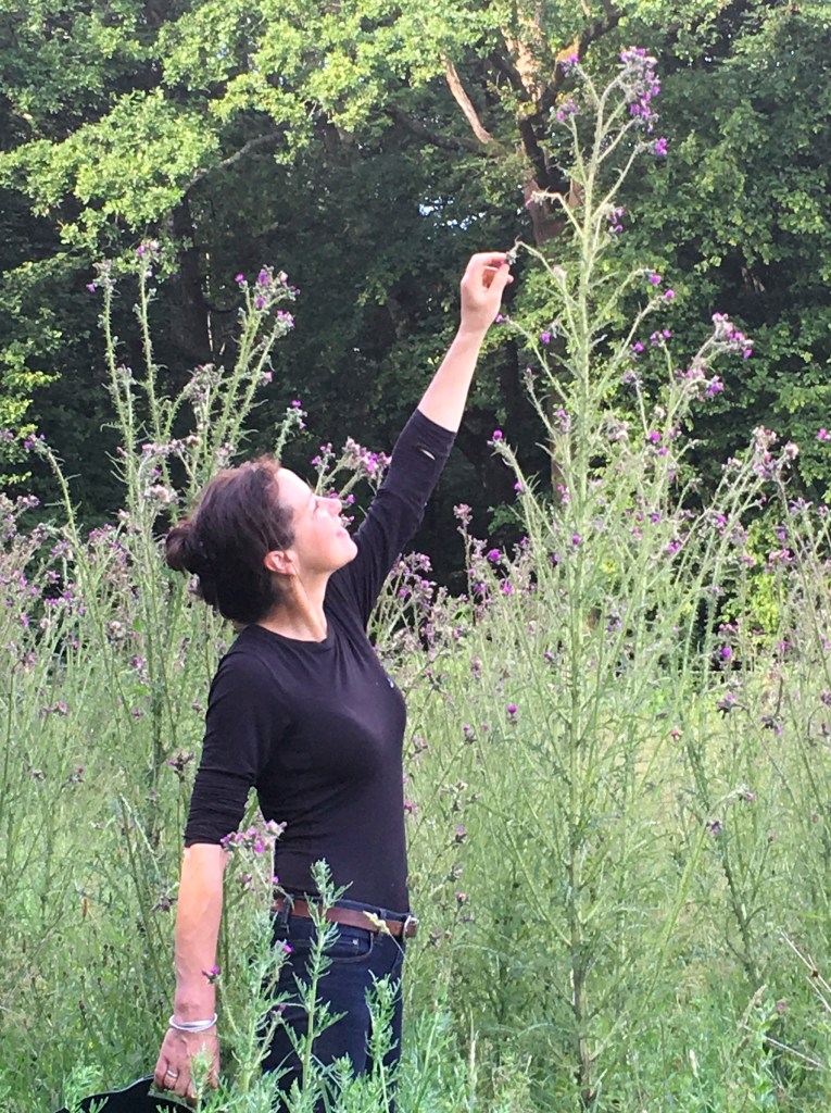 Challenges - seeing the beauty of the prickles!