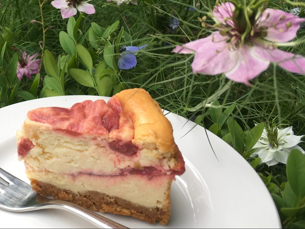 Rhubarb and Custard Cheesecake