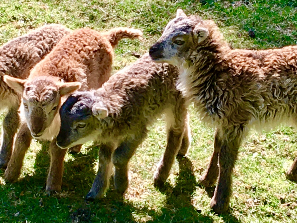 Off to Pastures New!