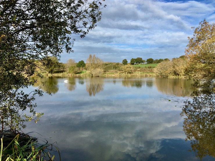 Newdigate Farms fishing ponds - simply stunning all through the year. A peaceful place to be.