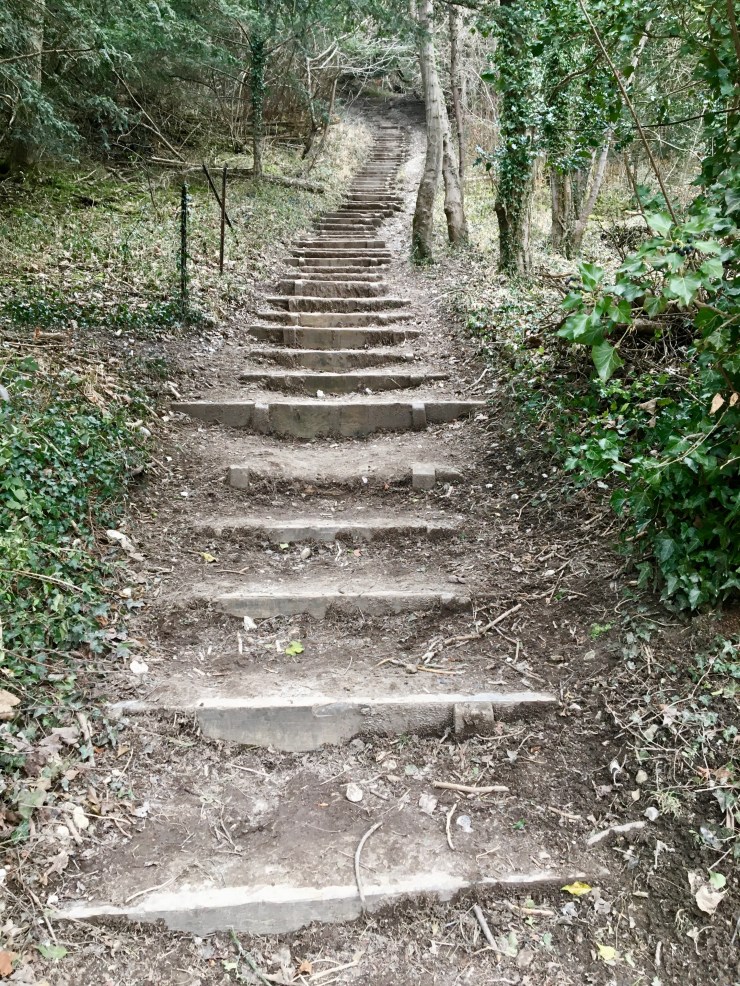 Box Hill steps!