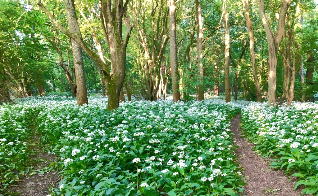 The Oaks, self catering holiday accommodation; Sussex