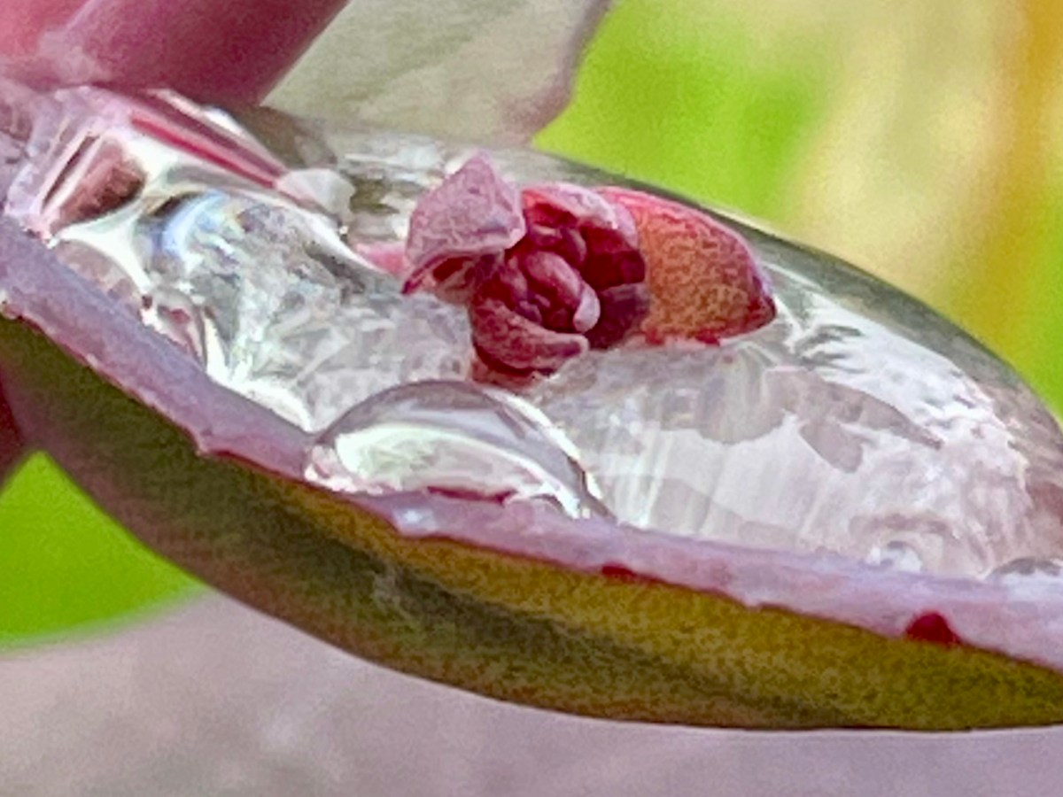 Colour Challenge 2021: June (part II): Silver