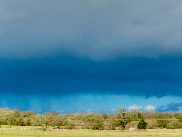 Colour Challenge 2021, July: Blue