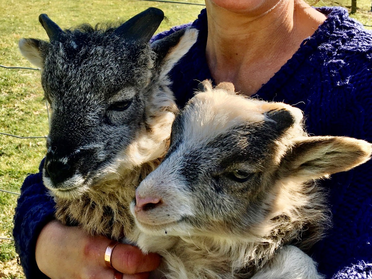 Off to pastures new ’21!