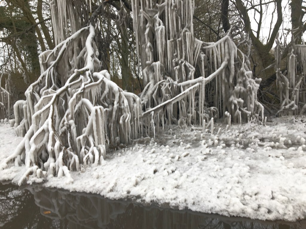 Chilly Winter grey icicles by the road
