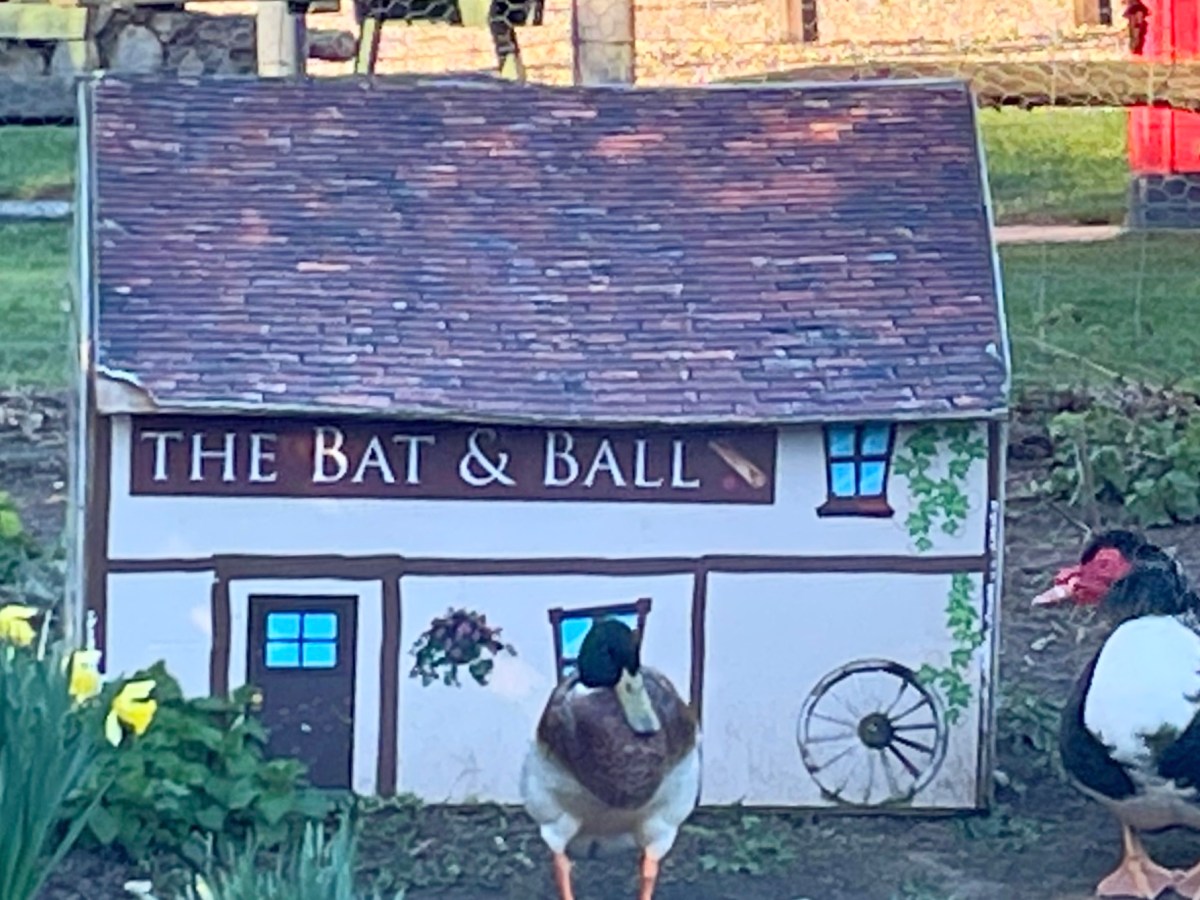 6.8m / 11km circular walk: Limeburners to Bat & Ball pubs