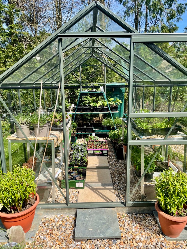 This image has an empty alt attribute; its file name is img_8347.jpeg